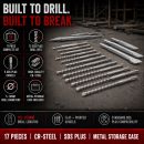 Lumberjack 17 Piece SDS Plus Drill Bit & Chisel Set in Metal Storage Case